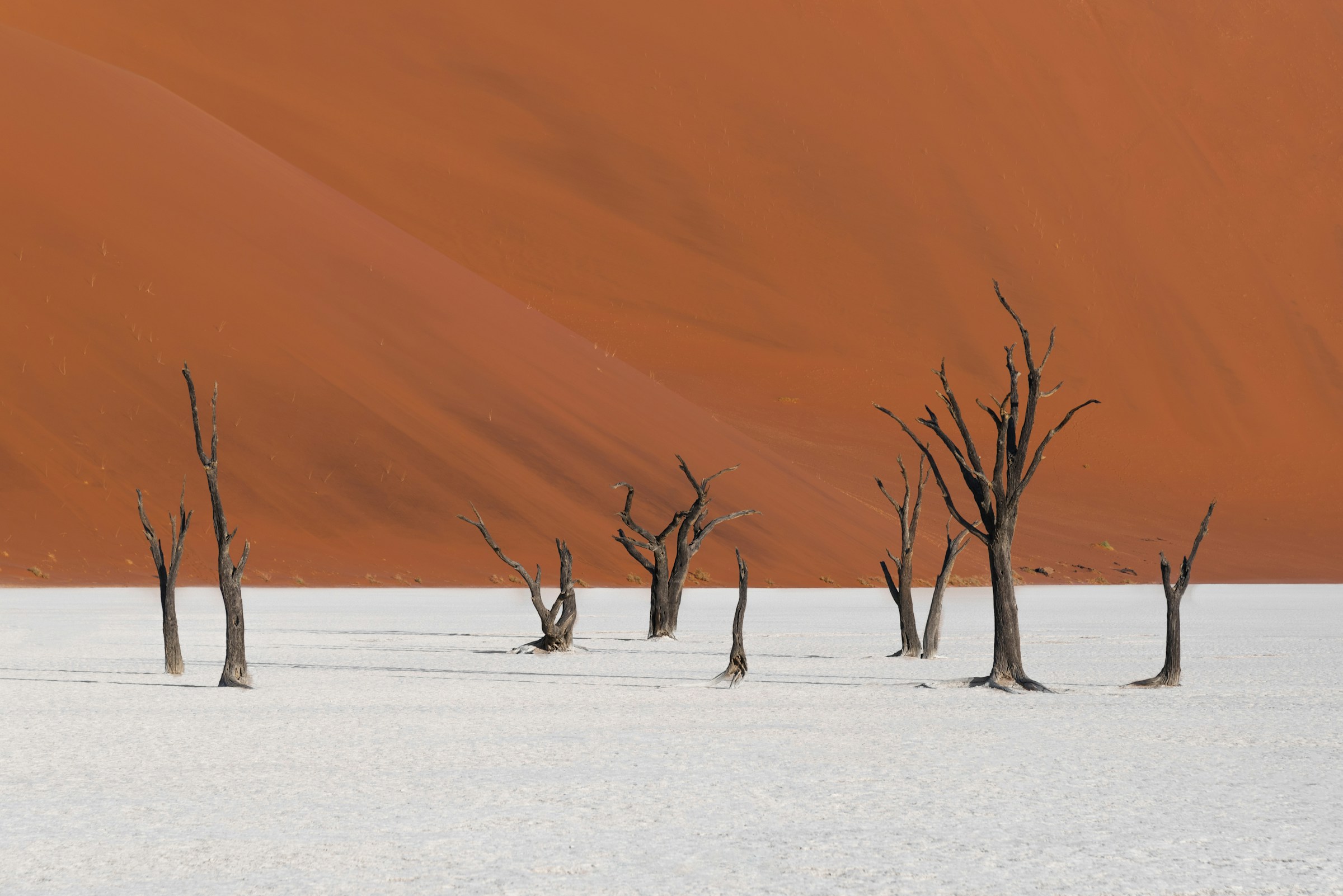 Vast by Privé