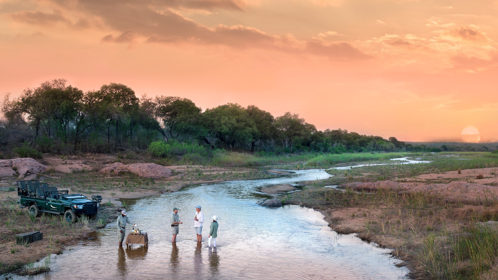 Safari image 10