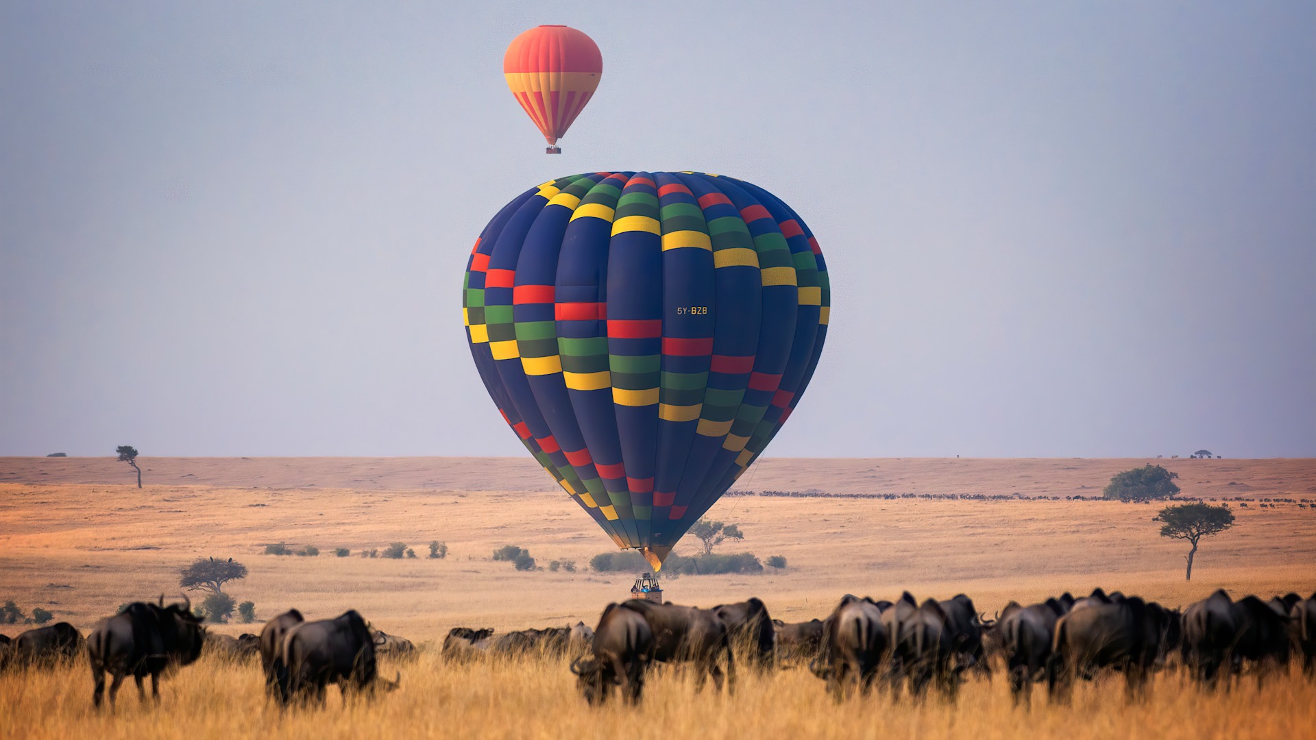 Safari image 3
