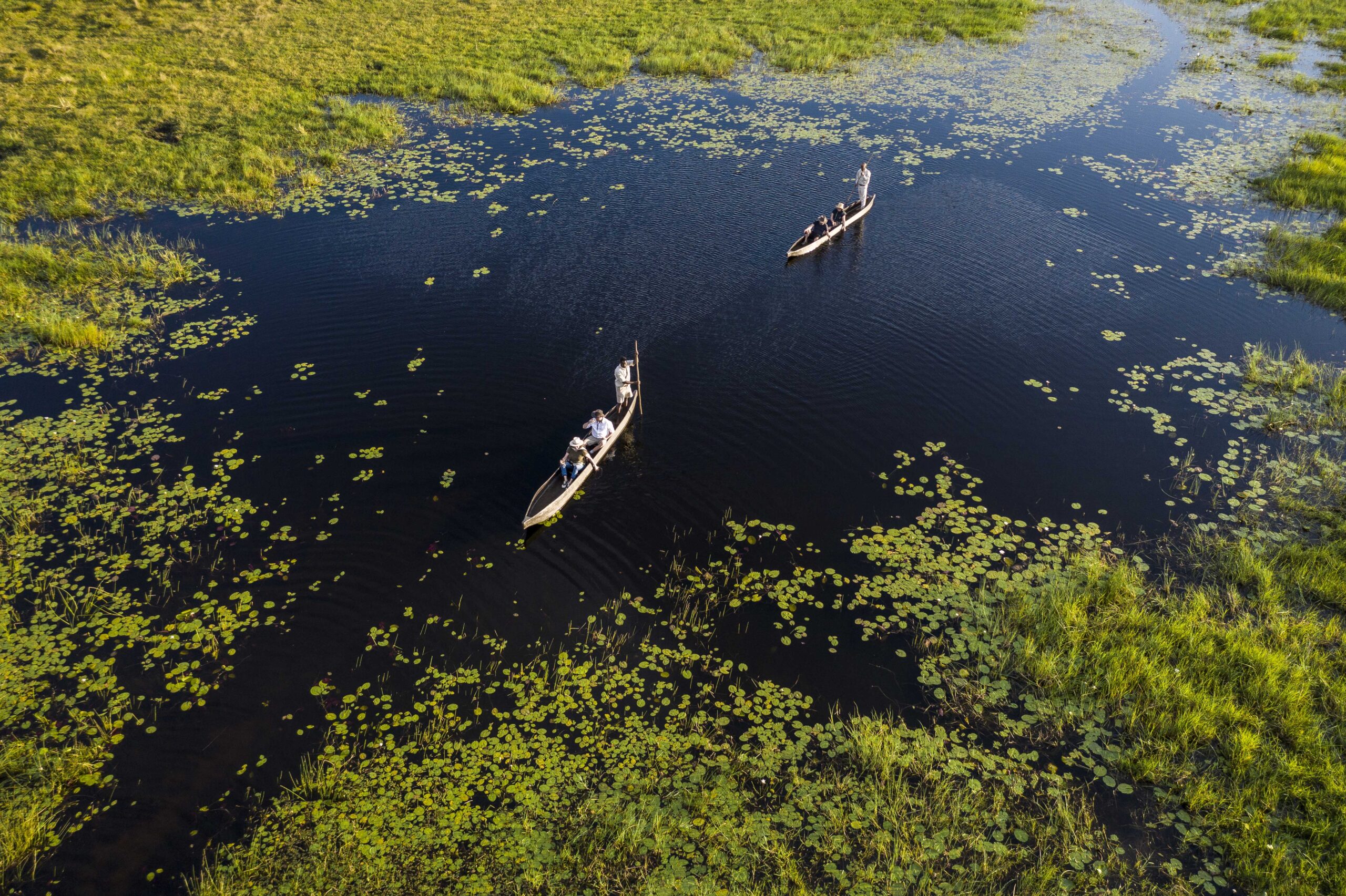 Safari image 11