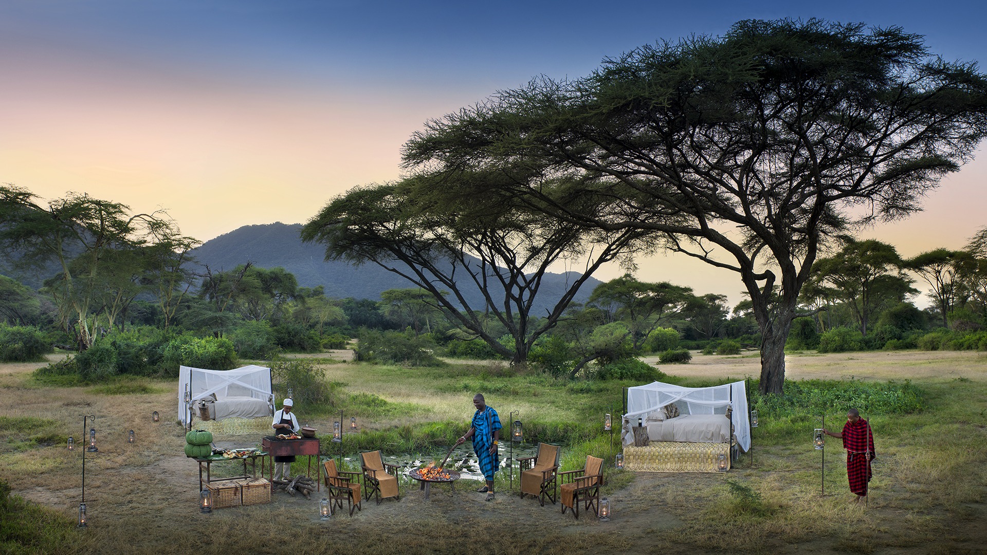 Safari image 1