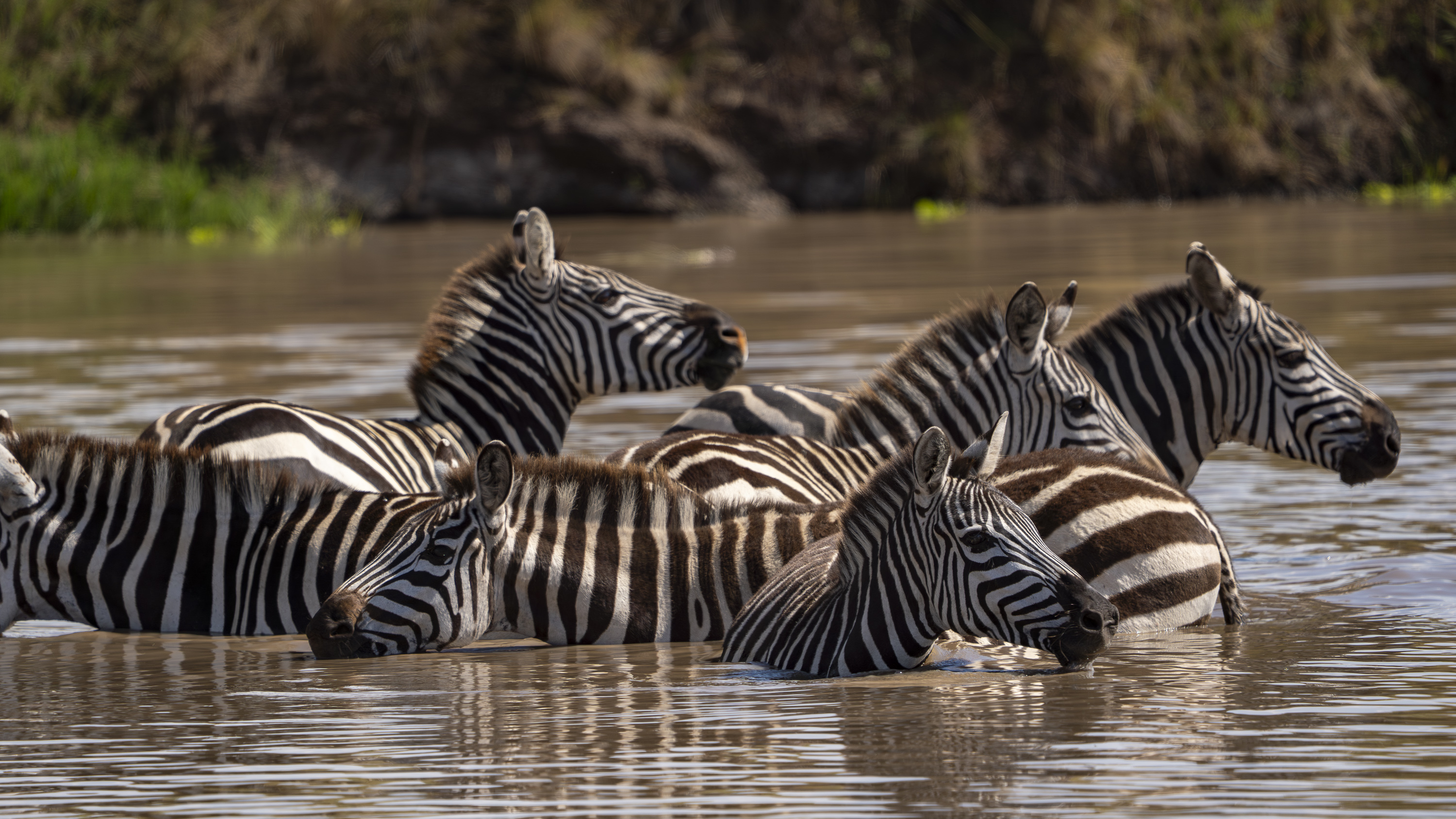Migration 2