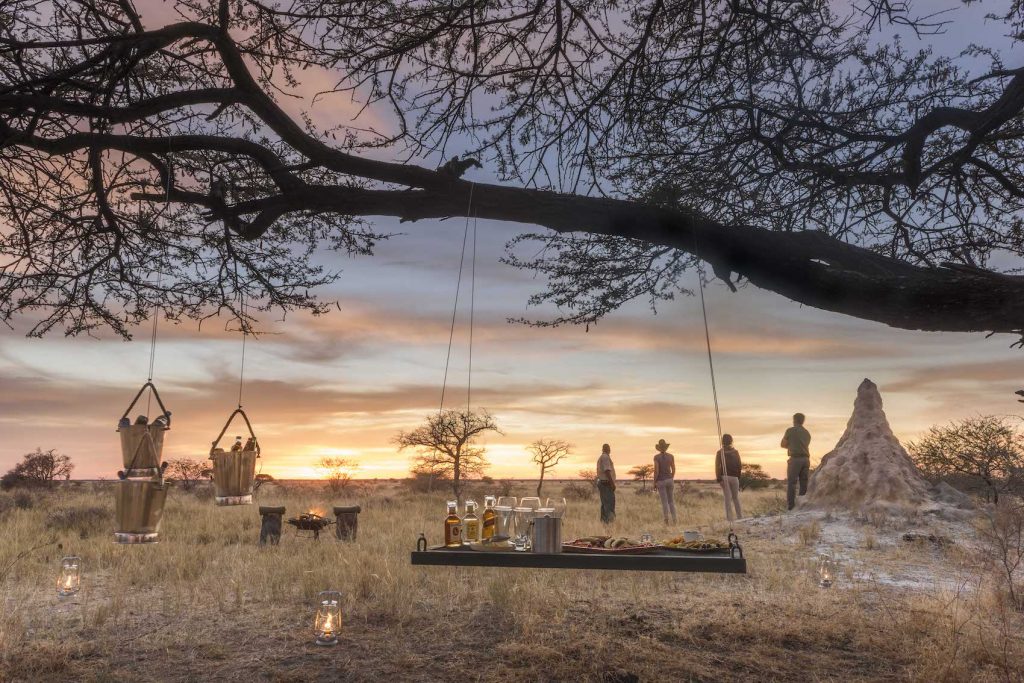 Safari image 6
