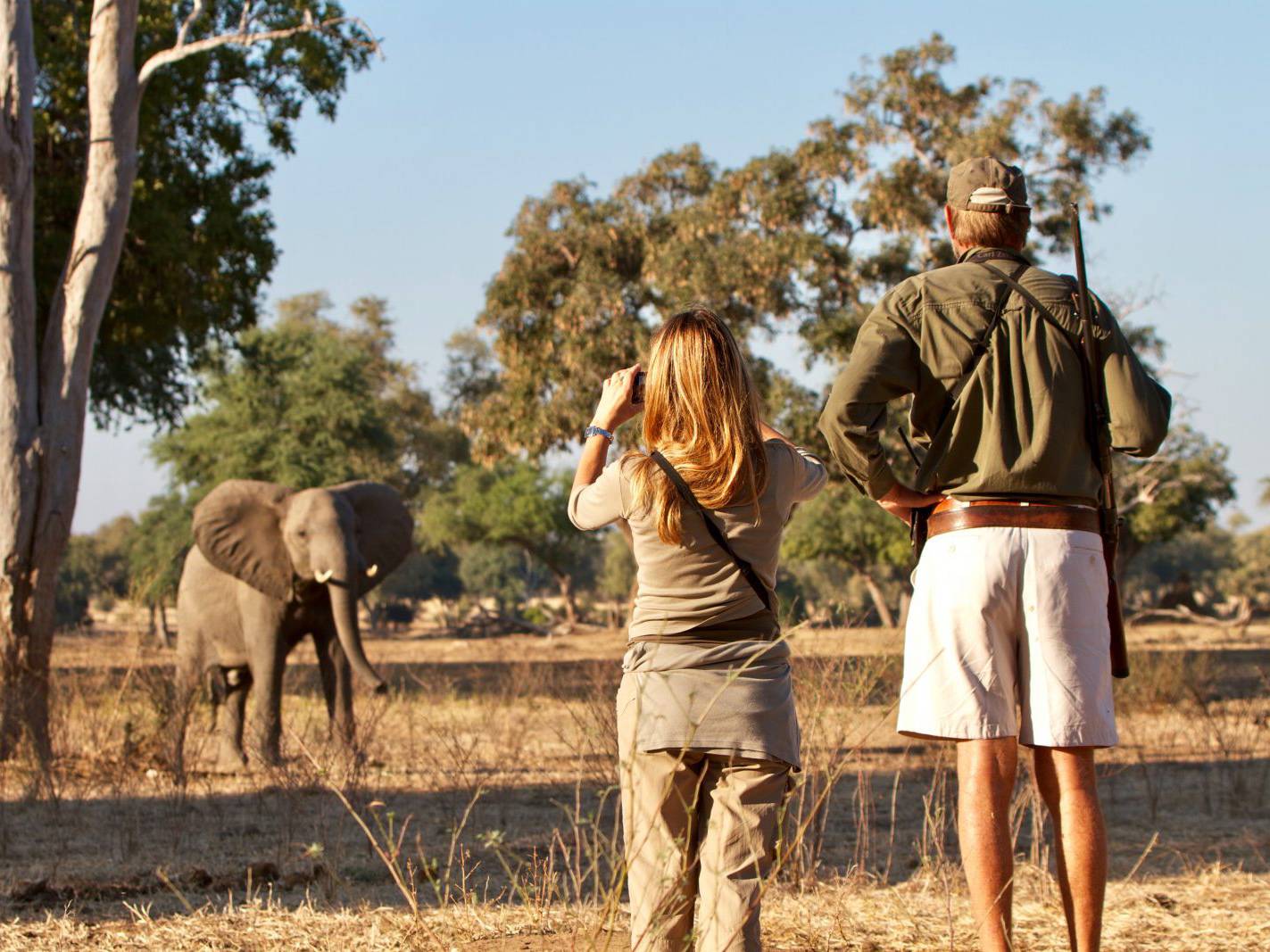Safari image 1